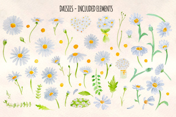 Download Daisies - Premium Resources