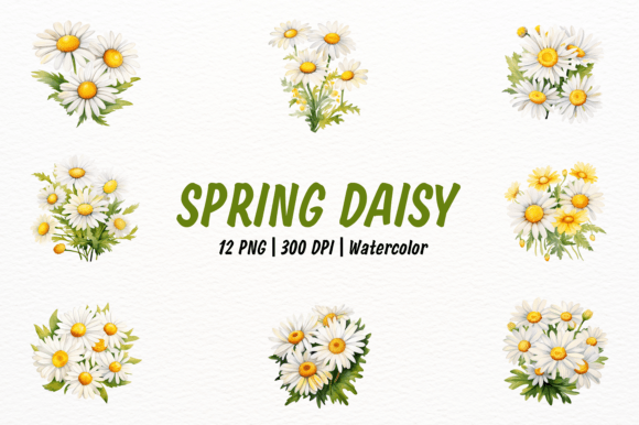 Download Spring Daisy Clipart - Premium Resources